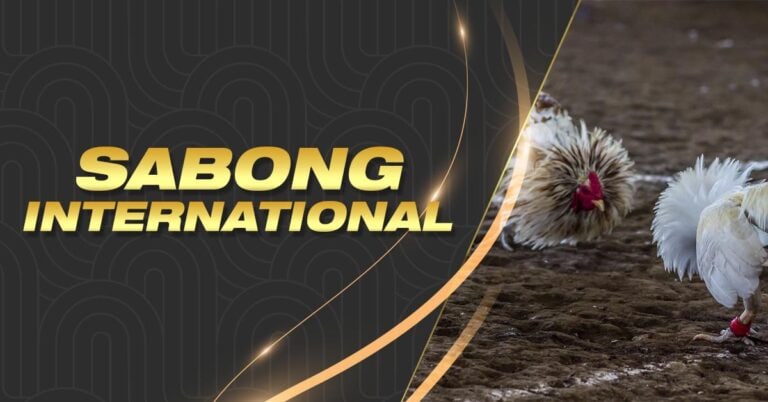 ph city slot login where to bet on horse races