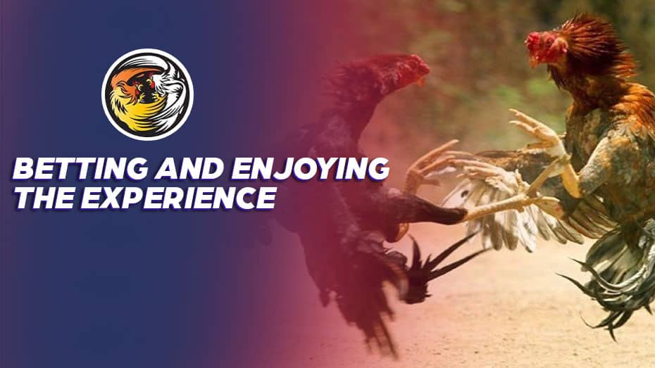 dswd region 7 how to place a lucky 15 bet on bet365